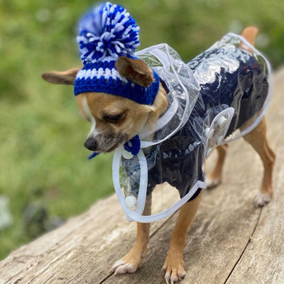 White Waterproof Raincoat for Chihuahuas and Small Dogs - 3 SIZES Chihuahua Clothes and Accessories at My Chi and Me
