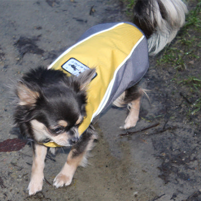 Small Dog Waterproof Reflective Adjustable Velcro Coat Yellow and Grey - My Chi and Me