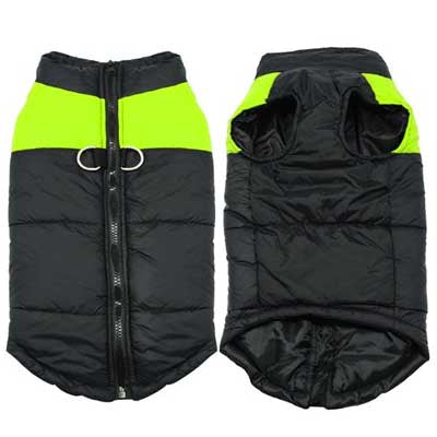 Gilet Style Small Dog Coat Black And Yellow - My Chi and Me
