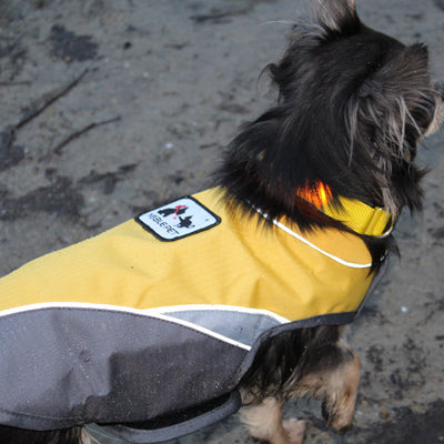 Small Dog Waterproof Reflective Adjustable Velcro Coat Yellow and Grey - My Chi and Me