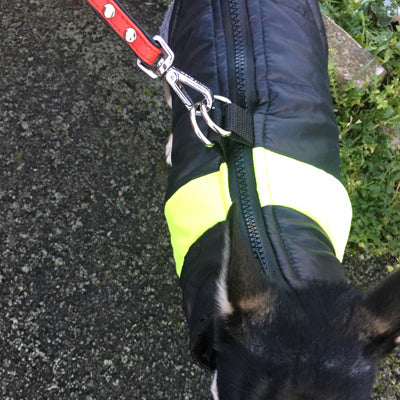 Gilet Style Small Dog Coat Black And Yellow - My Chi and Me