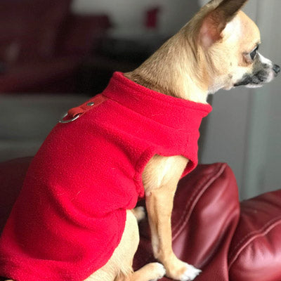 Chihuahua or Small Dog Fleece Jumper with D Rings For Leash Red - My Chi and Me