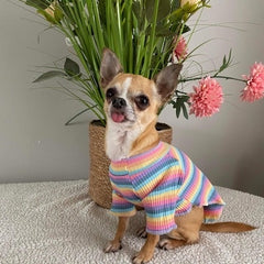Small Dog Rainbow Pastels Ribbed Turtleneck Lightweight Undershirt Jumper