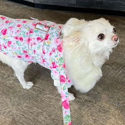 Urban Pup Chihuahua Puppy Chihuahua or Small Dog Floral Cascade Coat