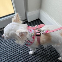 Urban Pup White Floral Cascade Harness
