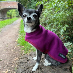 Tiny Toastie Water Repellent Fleece Dog Coat by My Pup and Me Berry Crush
