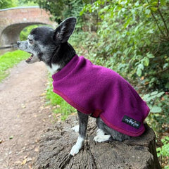 Tiny Toastie Water Repellent Fleece Dog Coat by My Pup and Me Berry Crush
