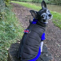 Lightweight Gilet Style Chihuahua or Small Dog Puffa Coat Black
