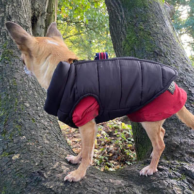 Lightweight Gilet Style Chihuahua or Small Dog Puffa Coat Black