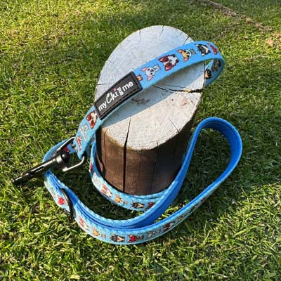 Exclusive Blue Chihuahua Signature Print Lead by My Chi and Me