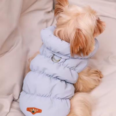 Water Resistant Baby Blue Padded Puffa Small Dog Coat 2 Sizes