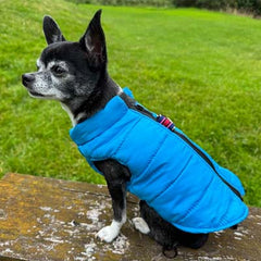 Lightweight Gilet Style Chihuahua or Small Dog Puffa Coat Blue