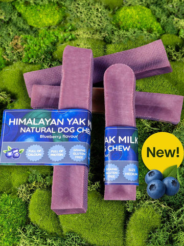 Blueberry Yak Dog Chew
