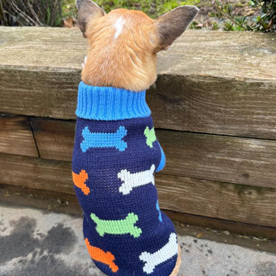 Blue Bones Design Jumper Chihuahua or Small Dog