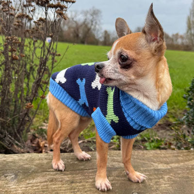 Blue Bones Design Jumper Chihuahua or Small Dog