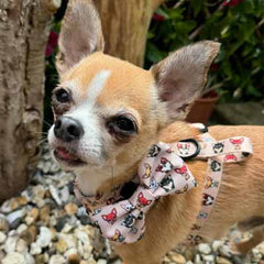 Smart Little Paws Chihuahua Print Exclusive Designer Bow Tie by My Chi and Me