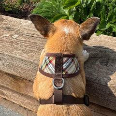 My Pup and Me Brown Tartan Harness
