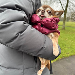 Water Resistant Burgundy Pearlised Padded Puffa Coat