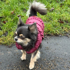 Water Resistant Burgundy Pearlised Padded Puffa Coat