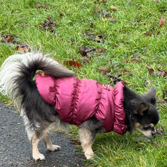 Water Resistant Burgundy Pearlised Padded Puffa Coat