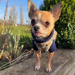 Tiny Trails Step In Soft Touch Suede Effect Faux Fur Lined Puppy and Small Dog Harness Caramel