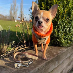 Tiny Trails Step In Soft Touch Suede Effect Faux Fur Lined Puppy and Small Dog Harness Caramel