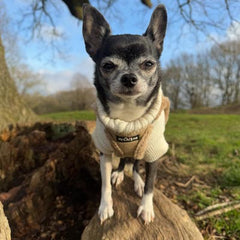 Tiny Trails Step In Soft Touch Suede Effect Faux Fur Lined Puppy and Small Dog Harness Caramel