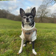 Tiny Trails Step In Soft Touch Suede Effect Faux Fur Lined Puppy and Small Dog Harness Caramel