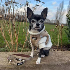 Tiny Trails Step In Soft Touch Suede Effect Faux Fur Lined Puppy and Small Dog Harness Caramel