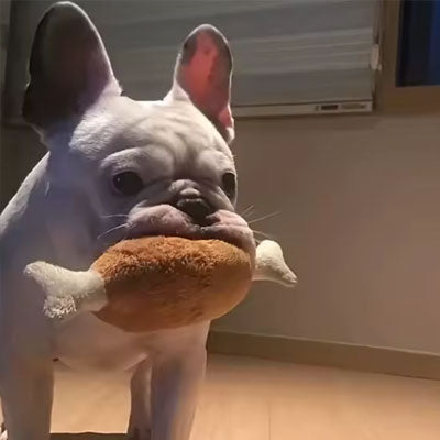 Chicken Drumstick Chihuahua or Small Dog PlushToy with Squeaker - My Chi and Me