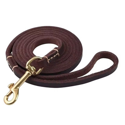 Chocolate Luxury Leather Lead by My Chi and Me