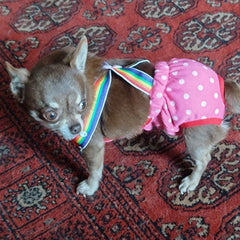 Chihuahua Season Pants Sanitary Dungarees Menstruation Knickers