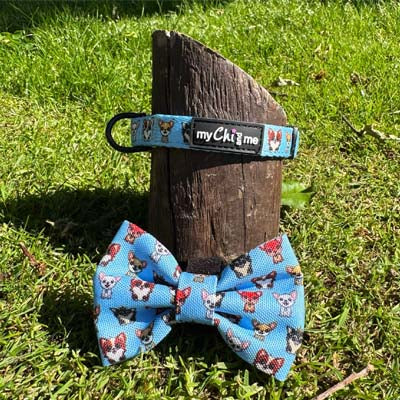 Blue Chihuahua Print Exclusive Designer Collar by My Chi and Me