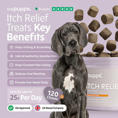 Itch Relief Treats
