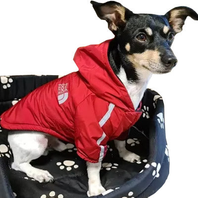 Dog Face Waterproof Reflective Raincoat for Chihuahuas and Small Dogs