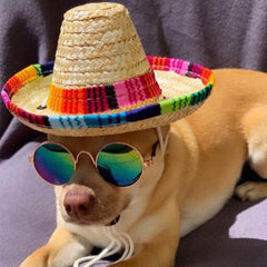Small Dog Sunglasses Chihuahuas Shades 8 COLOURS