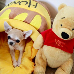 HUNNY Dog Bed for Small Chihuahuas Puppies and Cats LIMITED OFFER