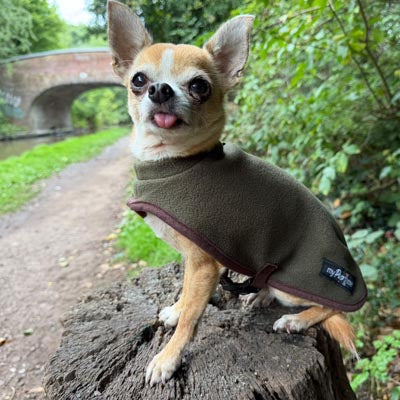 Tiny Toastie Water Repellent Fleece Dog Coat by My Pup and Me Hunter Green