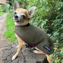 Tiny Toastie Water Repellent Fleece Dog Coat by My Pup and Me Hunter Green