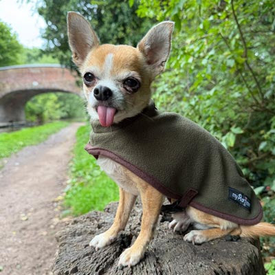 Tiny Toastie Water Repellent Fleece Dog Coat by My Pup and Me Hunter Green