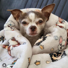 Chihuahua Print Champagne Soft Cosy Fleece Blanket by My Chi and Me