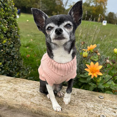 Small Dog Soft Cable Jumper Champagne Pink 6 Sizes