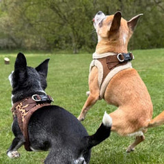 Tiny Trails Step In Soft Touch Suede Effect Faux Fur Lined Puppy and Small Dog Harness Mocha
