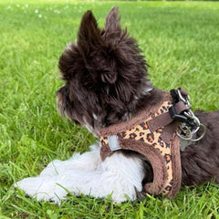 Tiny Trails Step In Luxury Leopard Puppy and Small Dog Harness