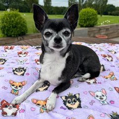 Chihuahua Print Soft Lilac Cosy Fleece Blanket by My Chi and Me