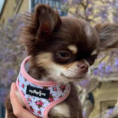 Luxury White Vintage Floral Harness by My Pup and Me