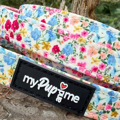 Luxury Meadow Floral Harness by My Pup and Me