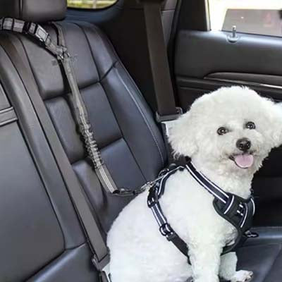 Anti Shock Premium Strong Webbing Single Dog Multiway Seat Belt