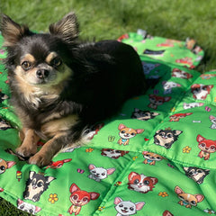 Roll and Go Signature Collection Garden Days Padded Chihuahua Print Travel Mat by My Chi and Me