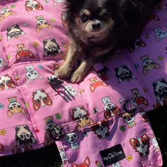 Roll and Go Signature Collection Padded Chihuahua Print Travel Mat by My Chi and Me